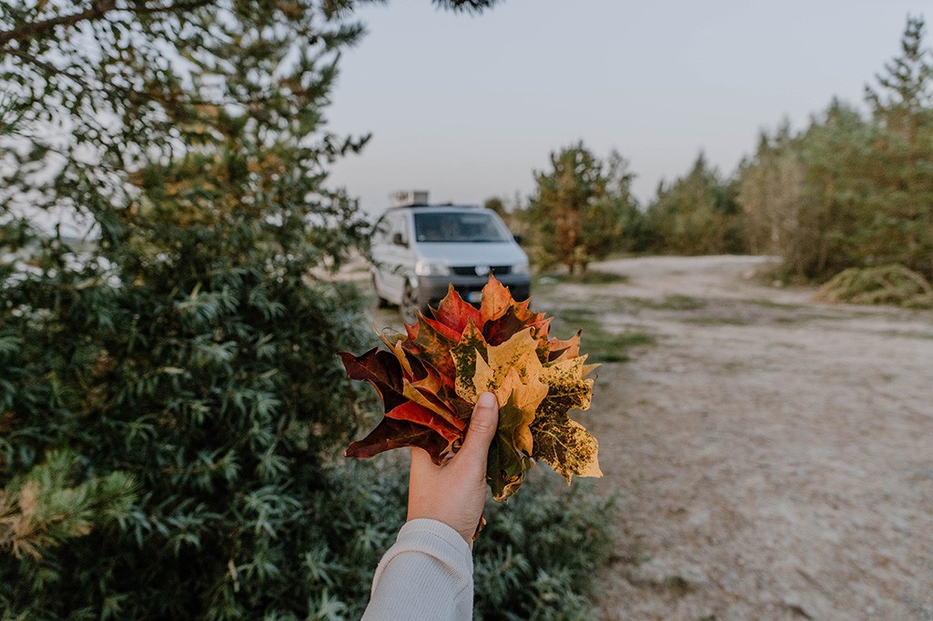 Hand mit Herbstblättern und VW T5 Camper im Hintergrund