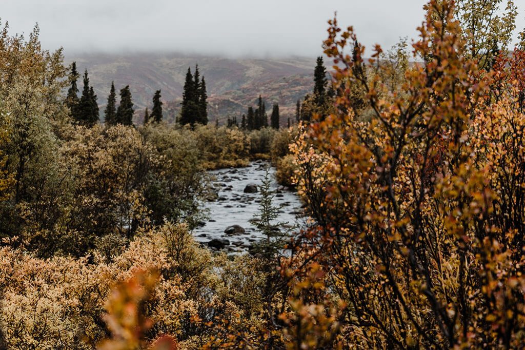 Blick auf den Klondike River am Tombstone Campground