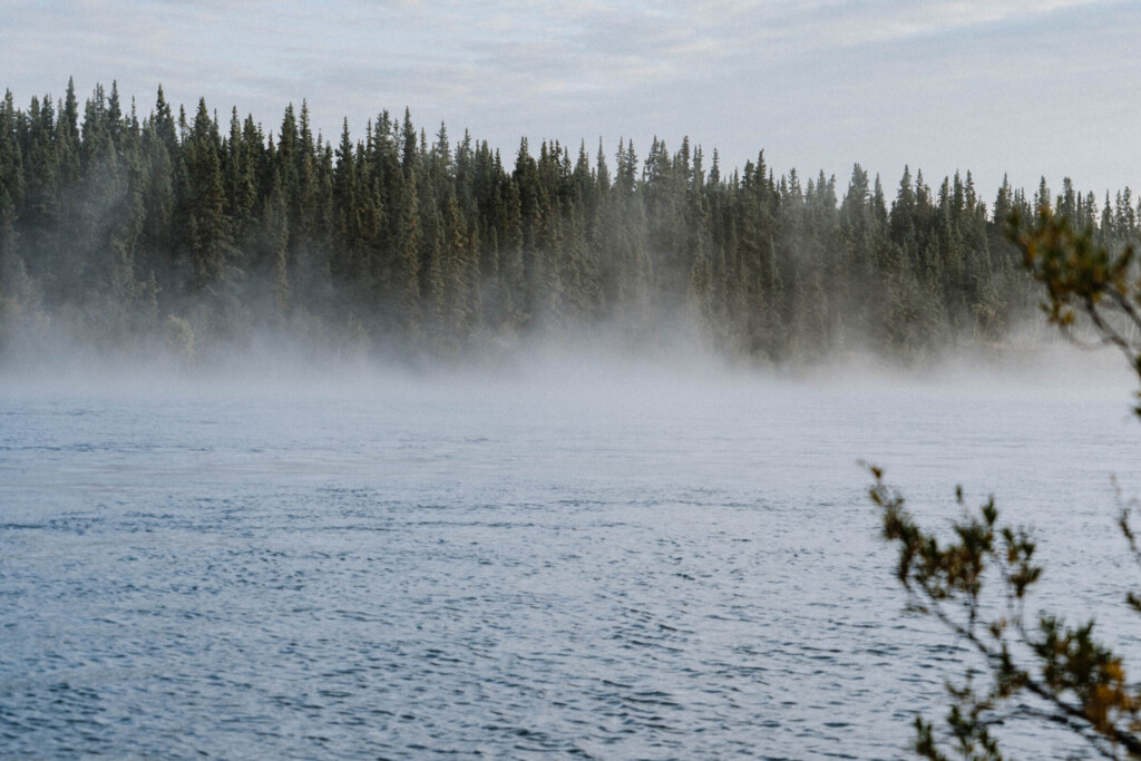 Morgennebel am Yukon Fluss.