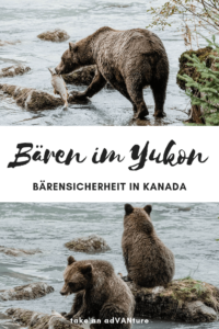 Be bear aware – Baerensicherheit im Yukon.