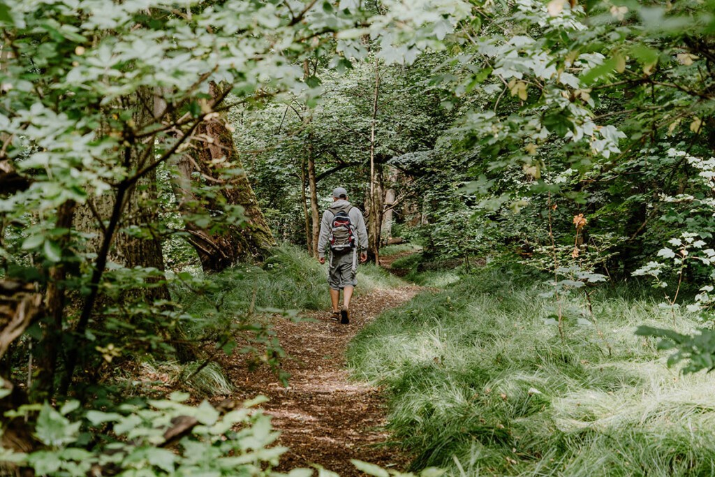 Person wandert durch Wald in Gröditzer Skala.