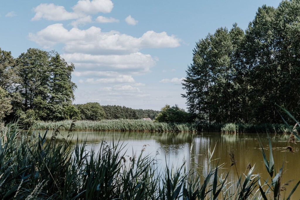 Teichlandschaft in der Oberlausitz