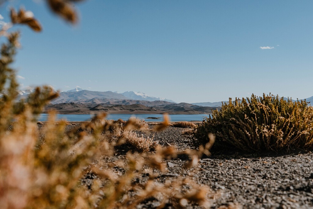 Karge Pflanzenwelt am Karakul in Tadschikistan.