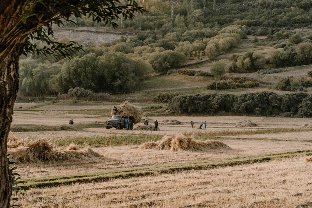 Ernte im Wakhan Valley, Heu wird eingeholt.
