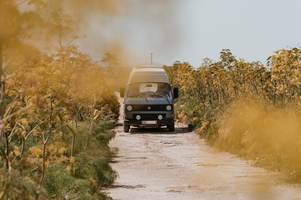 Ausgebauter VW T3 Camper auf Feldweg, rechts und links blüht gelb wilder Fenchel.