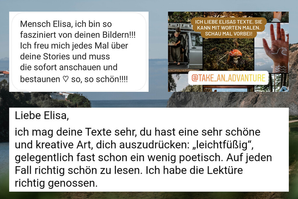 Feedback