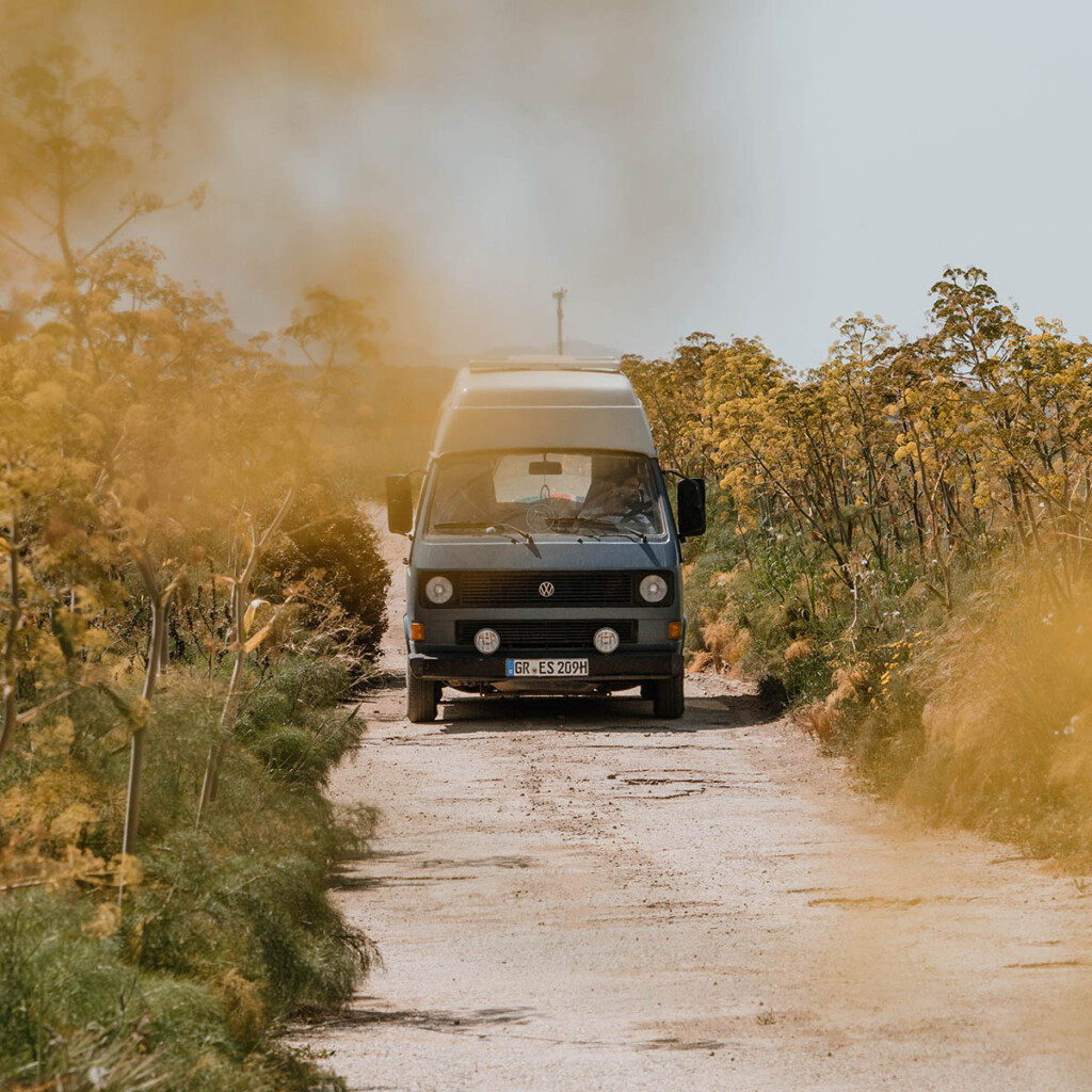 VW T3 Camper auf Feldweg zwischen gelb-blühenden Fenchel.